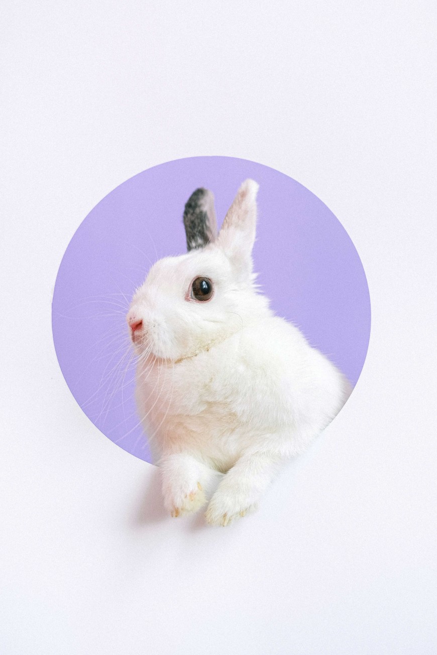 Osterhase