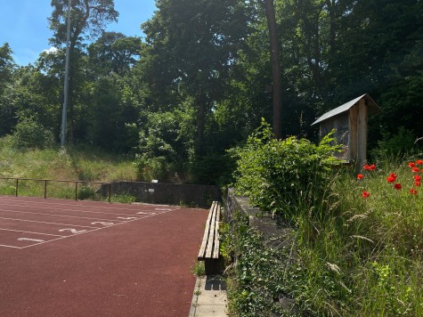 Nachhaltigkeit_Bienen